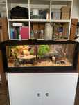 Terrario (100x50x40) gratis, tem de vir recolher