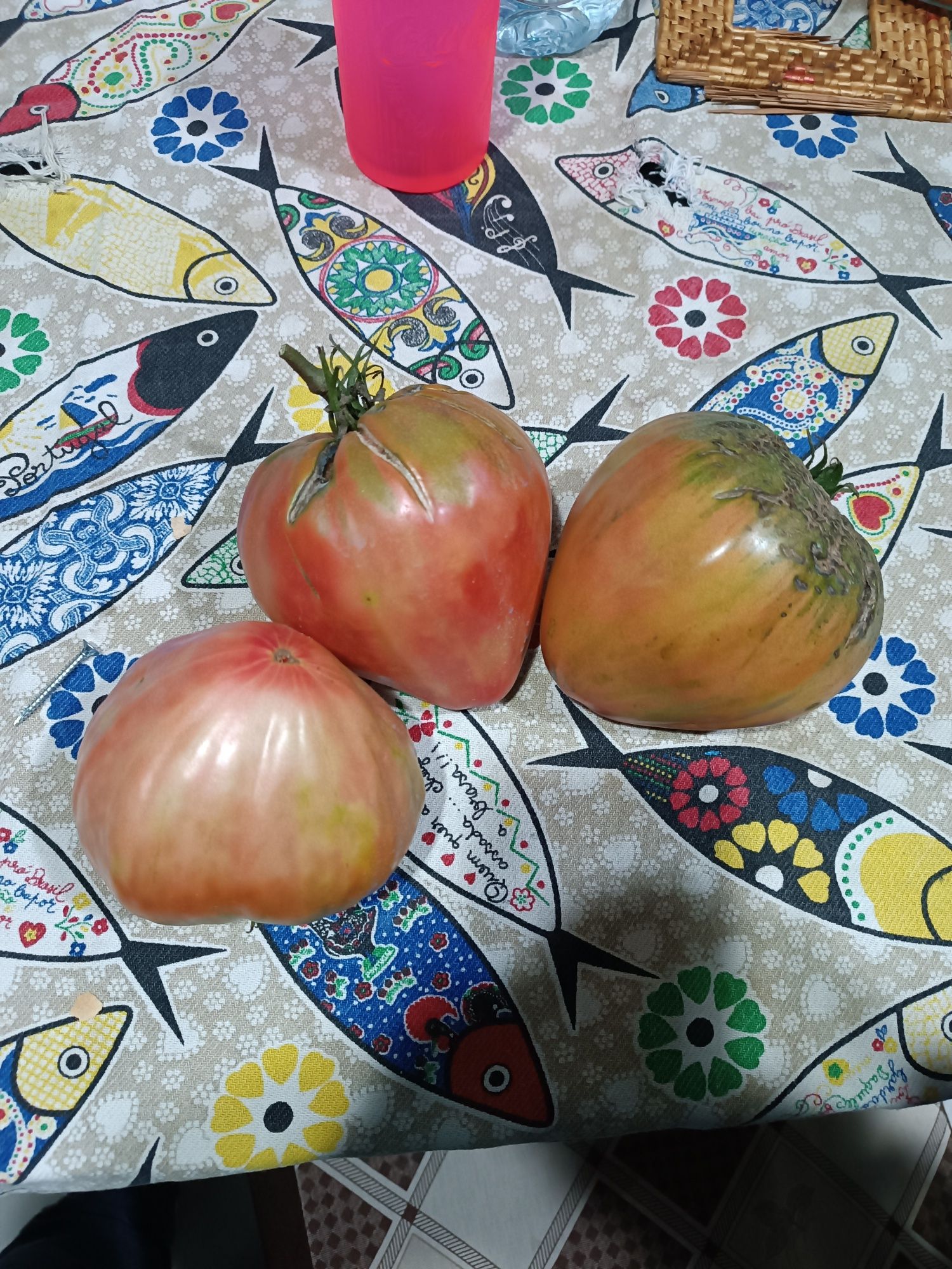 Produtos da horta