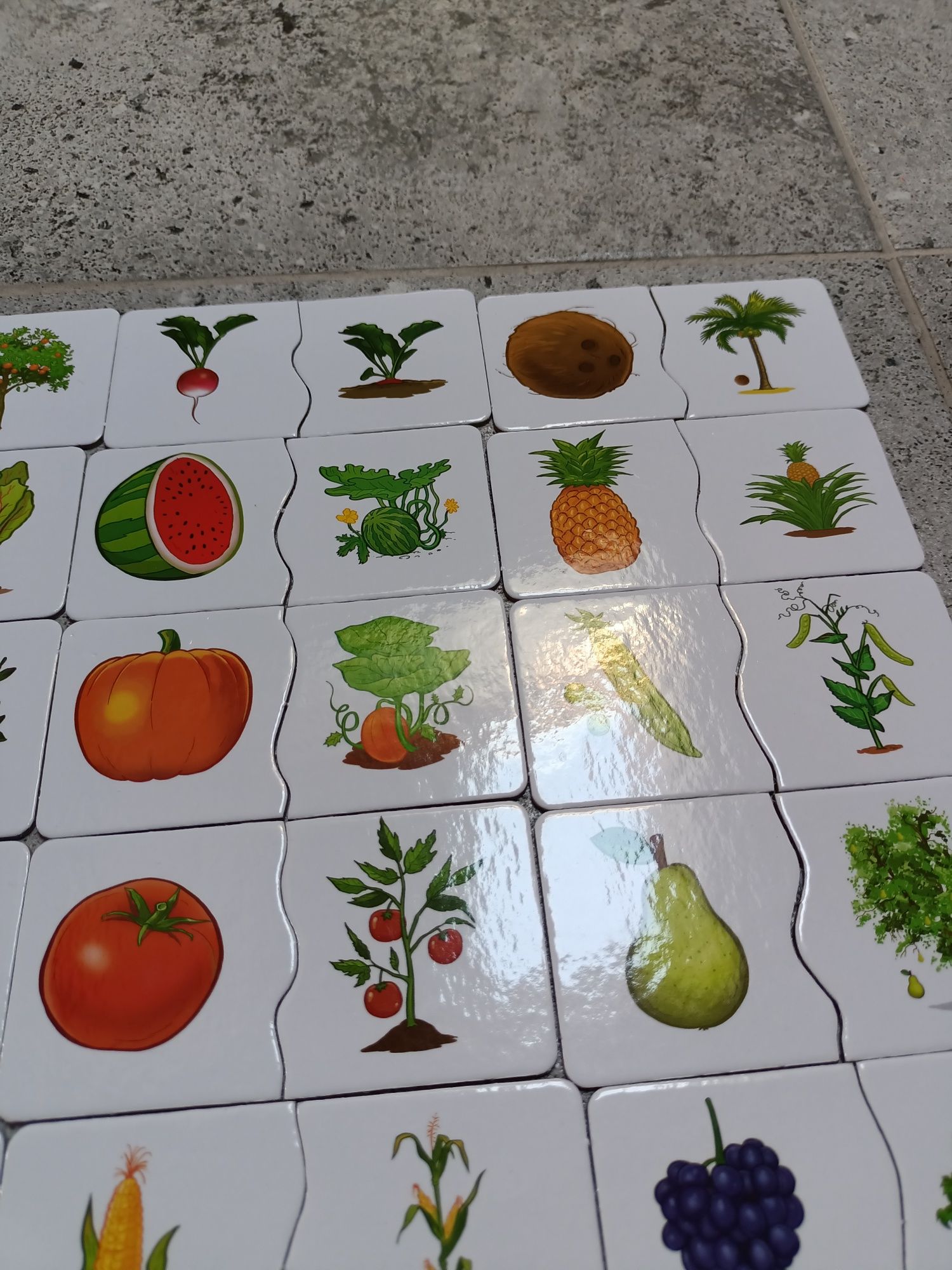 Puzzle warzywa i owoce Alexander