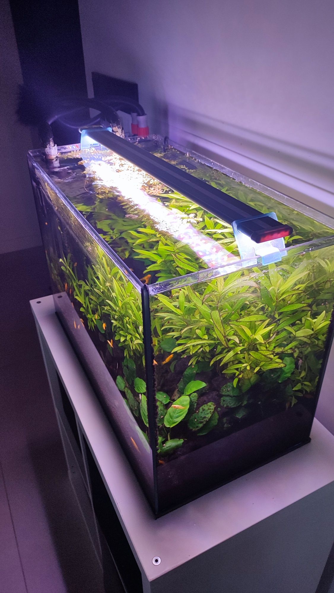 Akwarium 72l z Fluval 207