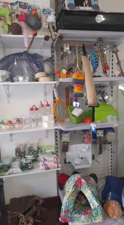 Recheio_móveis Pet Shop diversos itens equipamentos de Banho&Grooming