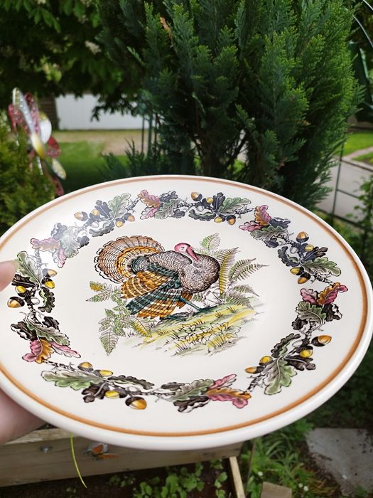 Винтажный набор тарелок Barbecue Myott sin & co