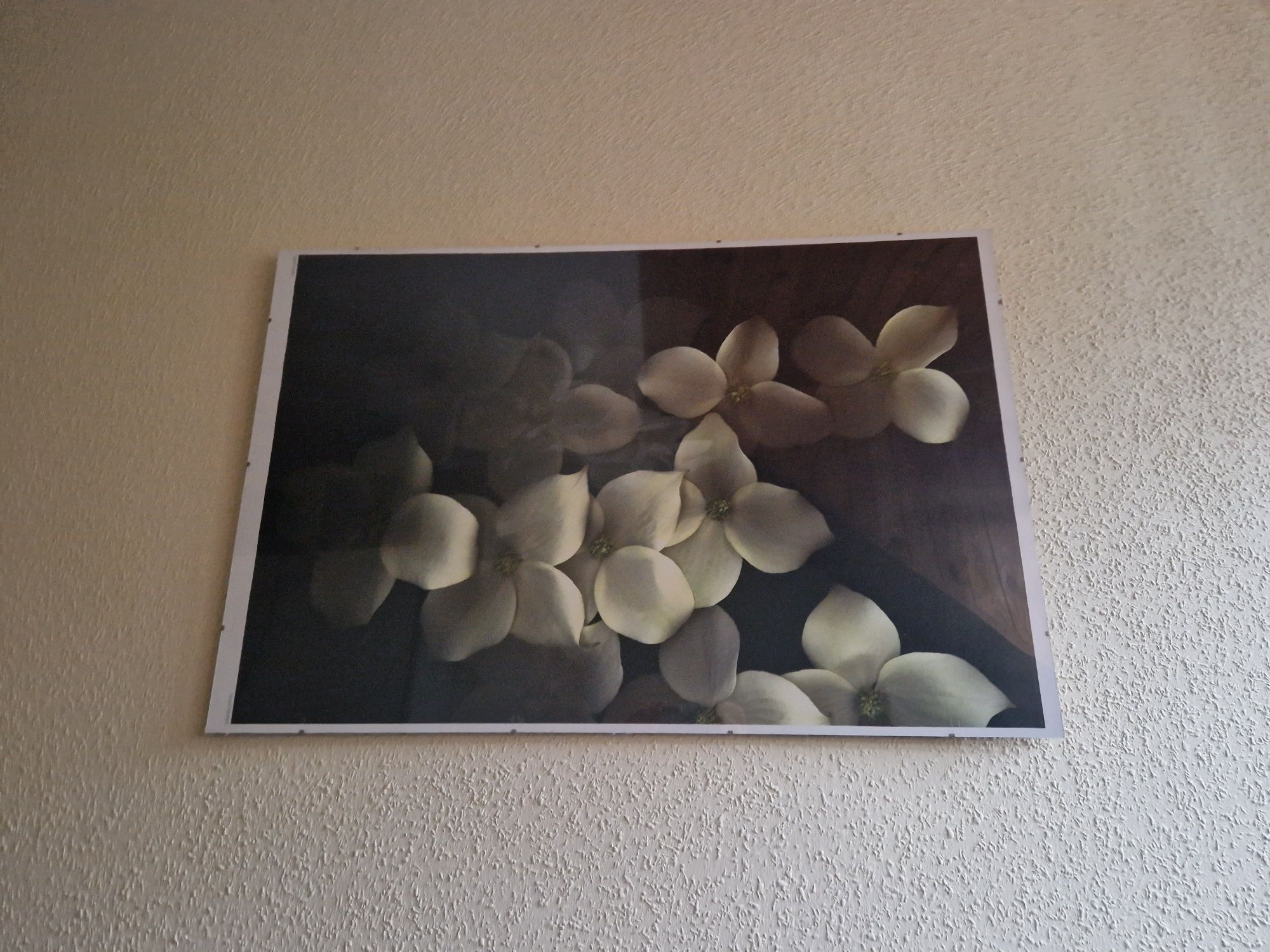 Plakat, obraz kwiaty duży