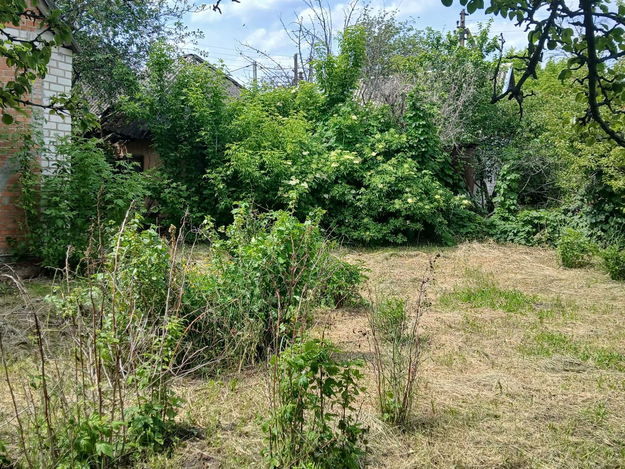 Продаж окремого будинку в пригороде Полтави.