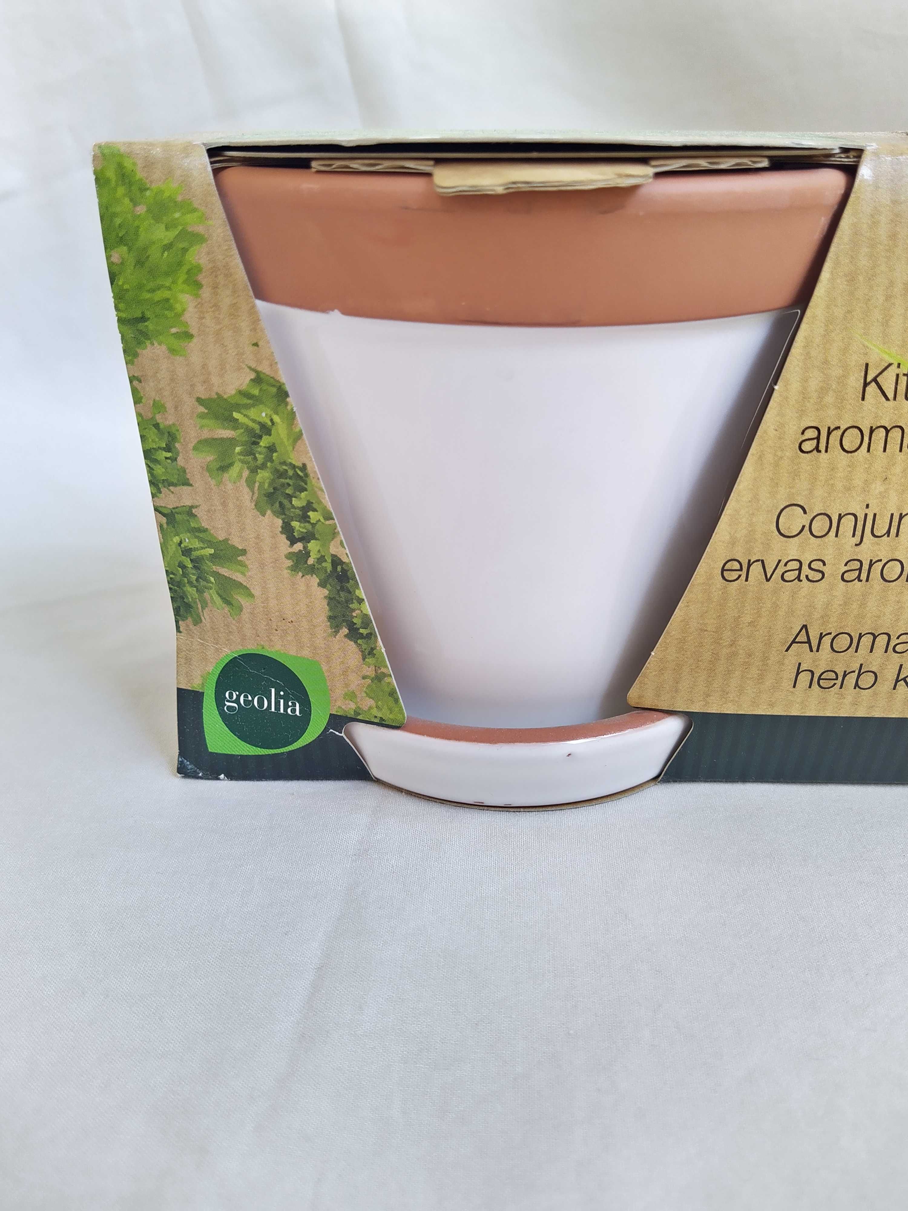 Kit de Aromáticas para plantar em casa