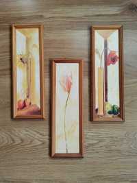3 obrazy na ścianę, kwiaty, ramki do powieszenia, mak, słonecznik