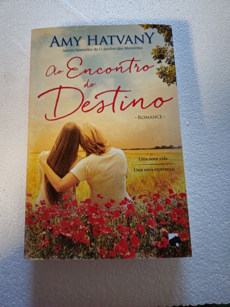 Ao encontro do Destino Amy Hatvany