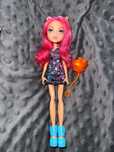 Монстер Хай Monster High Хоулин Вульф Howleen Wolf