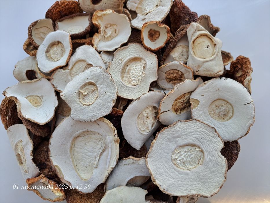 Білі гриби сушені з Карпат! 3л відерце