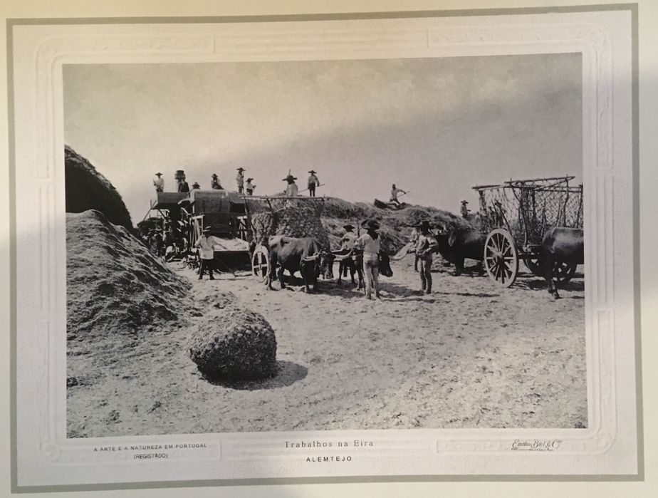 Gravuras históricas de Portugal II -  Emílio Biel