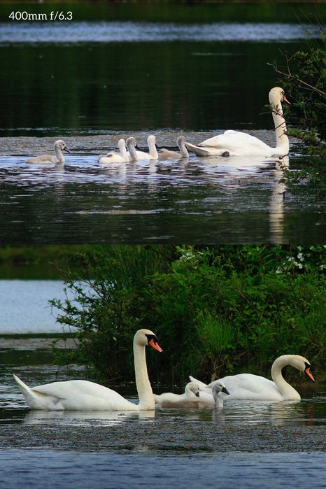 Об'єктив Lentar 400mm f/6.3