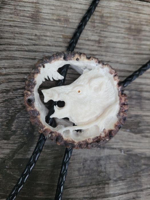 Dzik odyniec Bolo krawatnik poroze jelenia losia