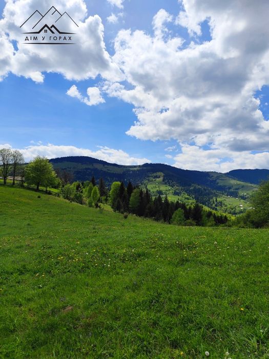 Продаж ділянки 9 га в Карпатах с. Яворів, Косівського району