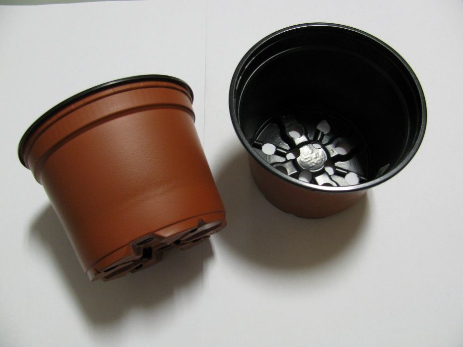 Kit completo p/ Planta Carnivora Dionaea Muscipula