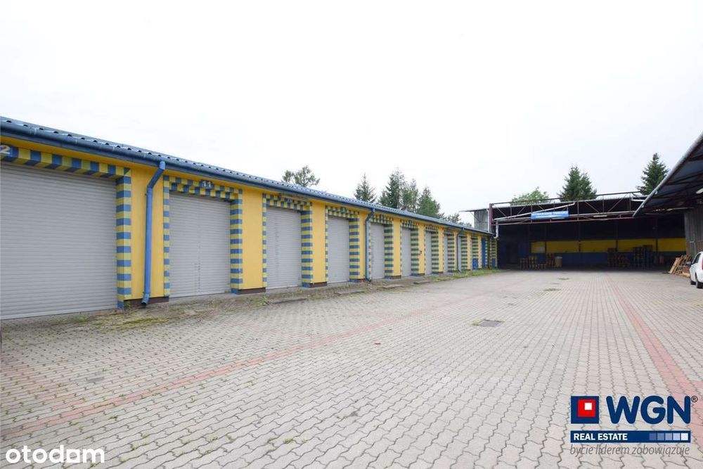 Do wynajęcia hala logistyczna o powierzchni 430 m² w Suwałkach.