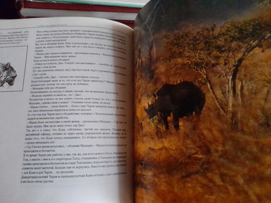 книга - царь зверей не лев