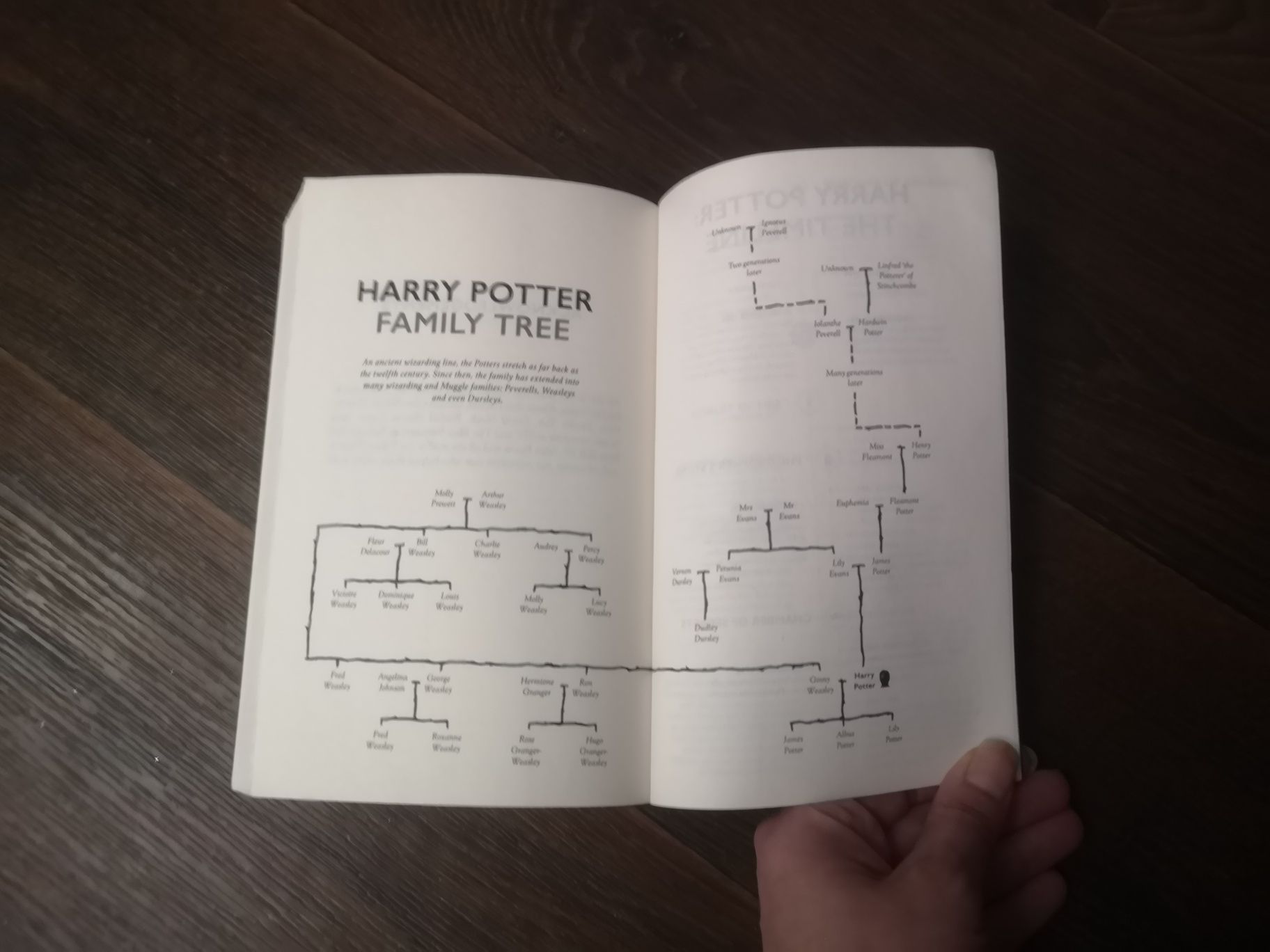 Гарри Поттер и Проклятое дитя Harry Potter and the cursed child англий