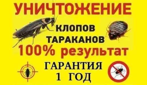Уничтожить уничтожение потравить тараканов клопов блох