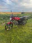 Альфа Forte FT 125 RX 1400 пробігу