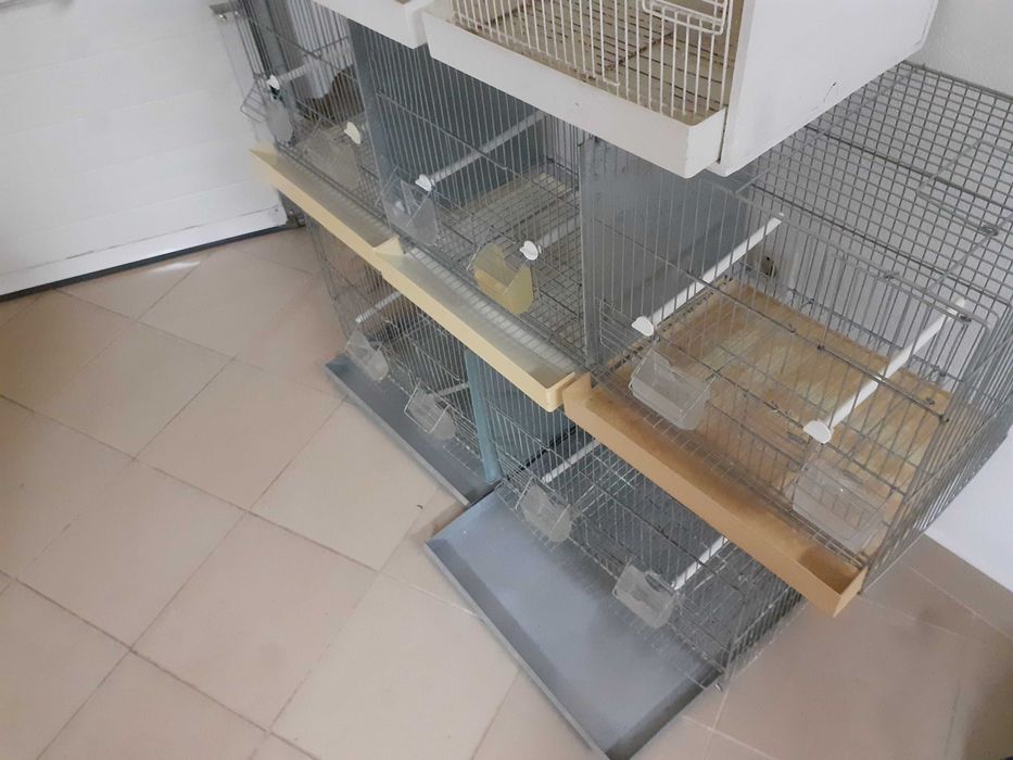 Viveiros para aves em bom estado (1m/1.20m/0.77m)