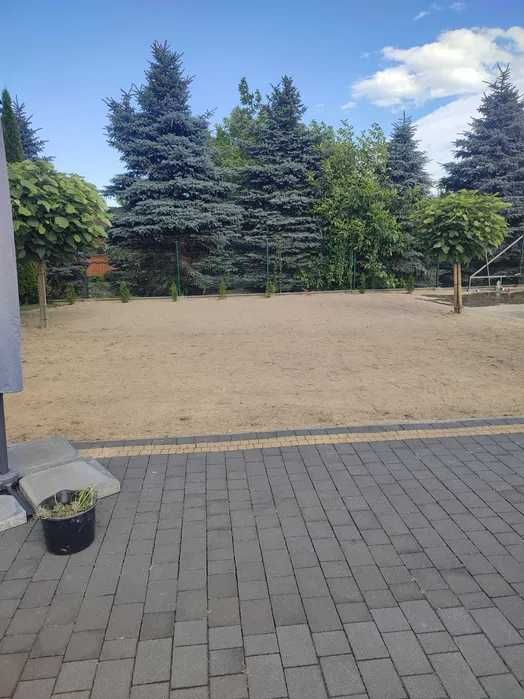 Kompleksowe usługi ogrodnicze. Przycinanie tuji, glebogryzarka separac