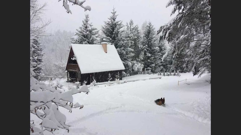 Chatka pod Świerkami