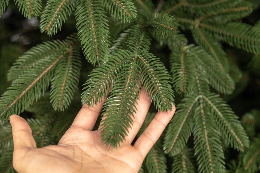 Лапландська штучна лита ялинка преміум якості Сіга Груп Ёлка литая