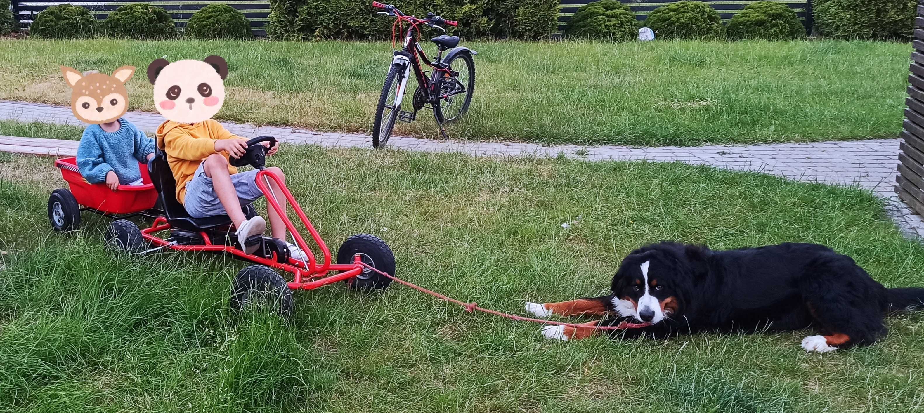 Gokart na pedały + przyczepka