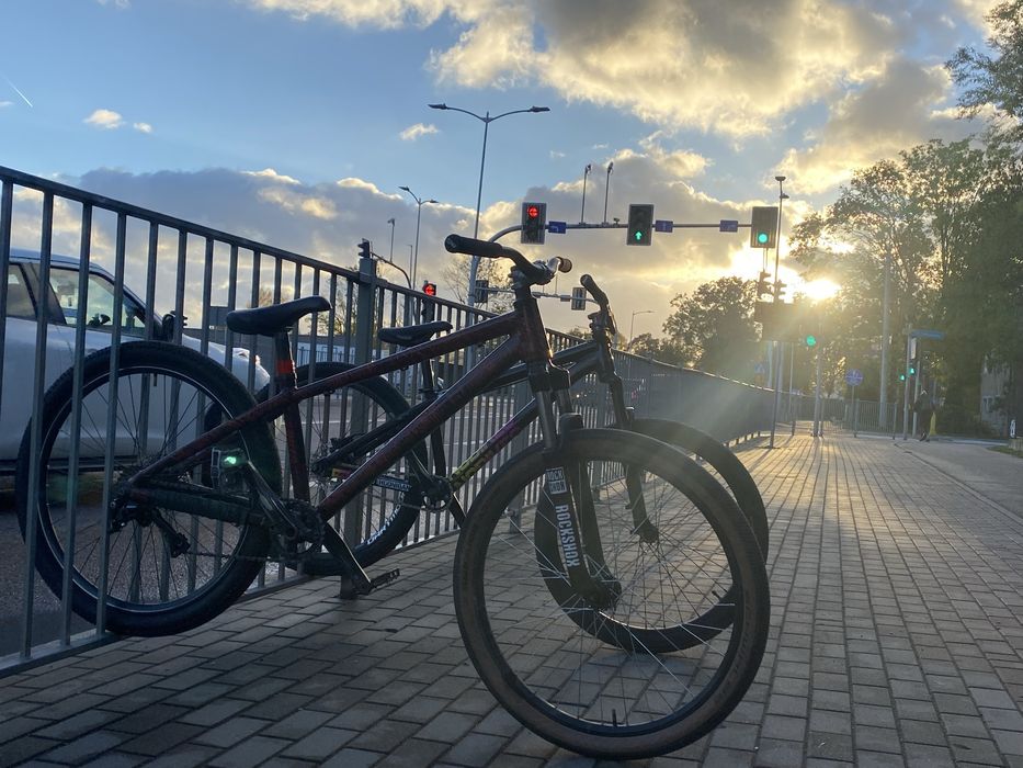 Kellys whip 10 custom mozliwa zamiana