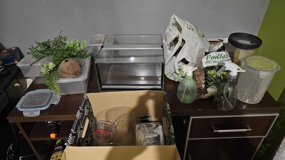 Zestaw terrarium ptasznik/modliszki