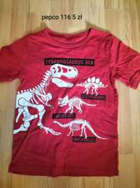 T-shirt koszulka dinozaur 116 chlopiec