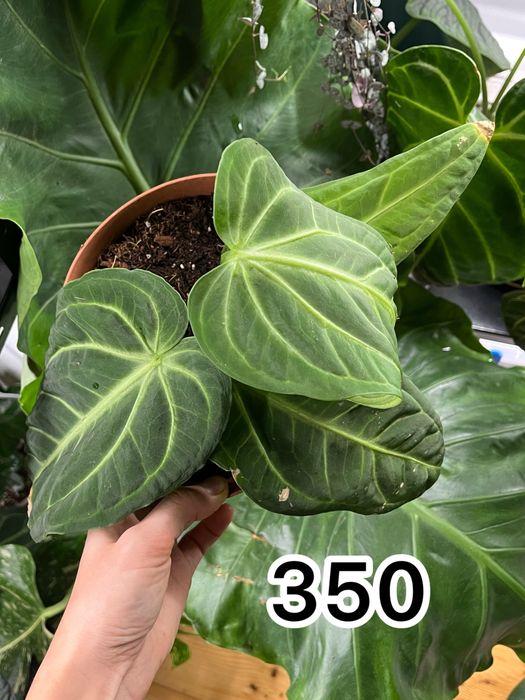 Обмін або викуп)