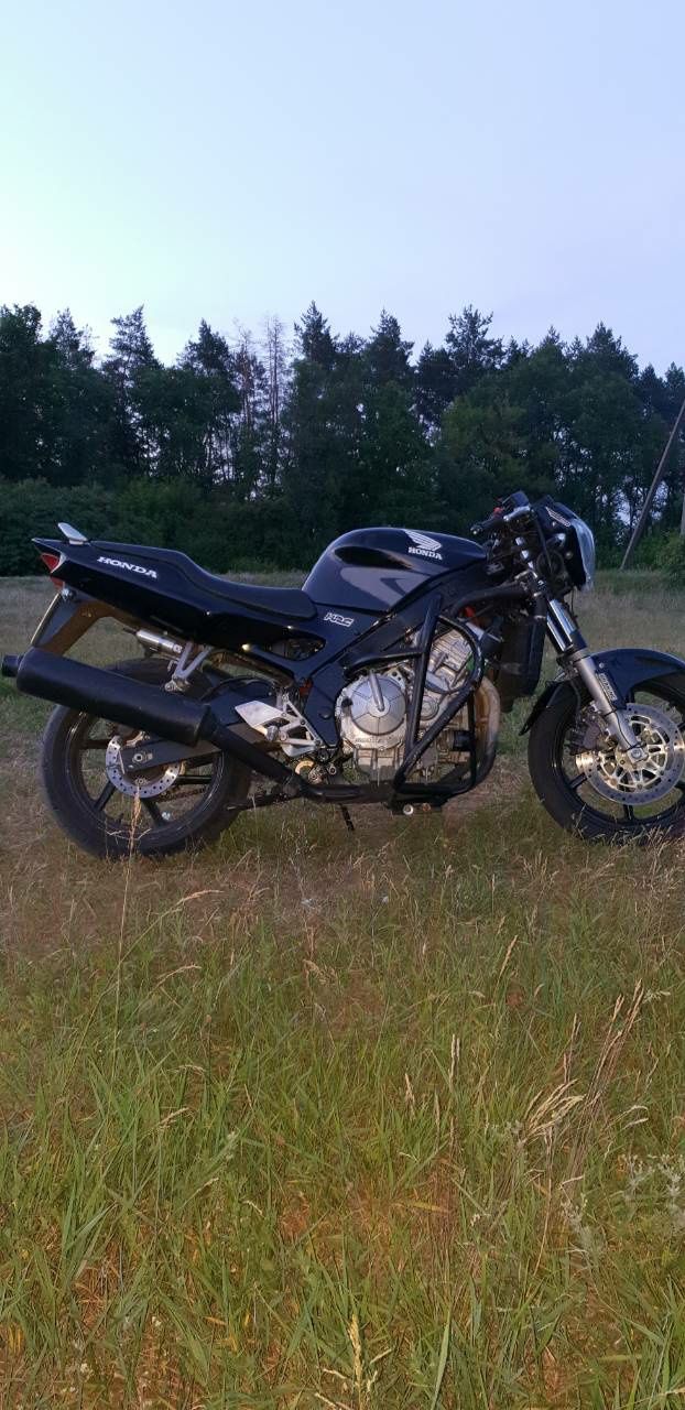 Honda cbr 600 хонда сбр 600