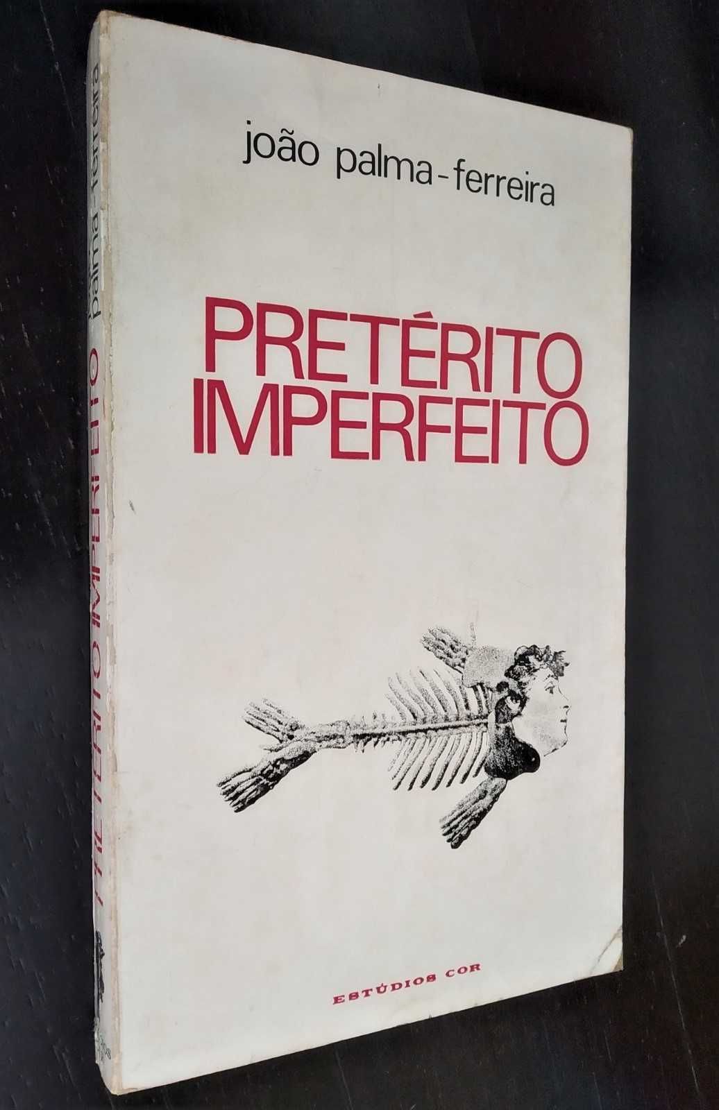 Pretérito Imperfeito (notas a Herberto Hélder, Maria Velho da Costa)