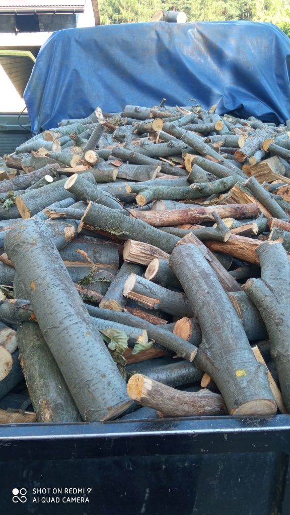 Drewno buk gałeziowka opalowe patyki sezonowana suche