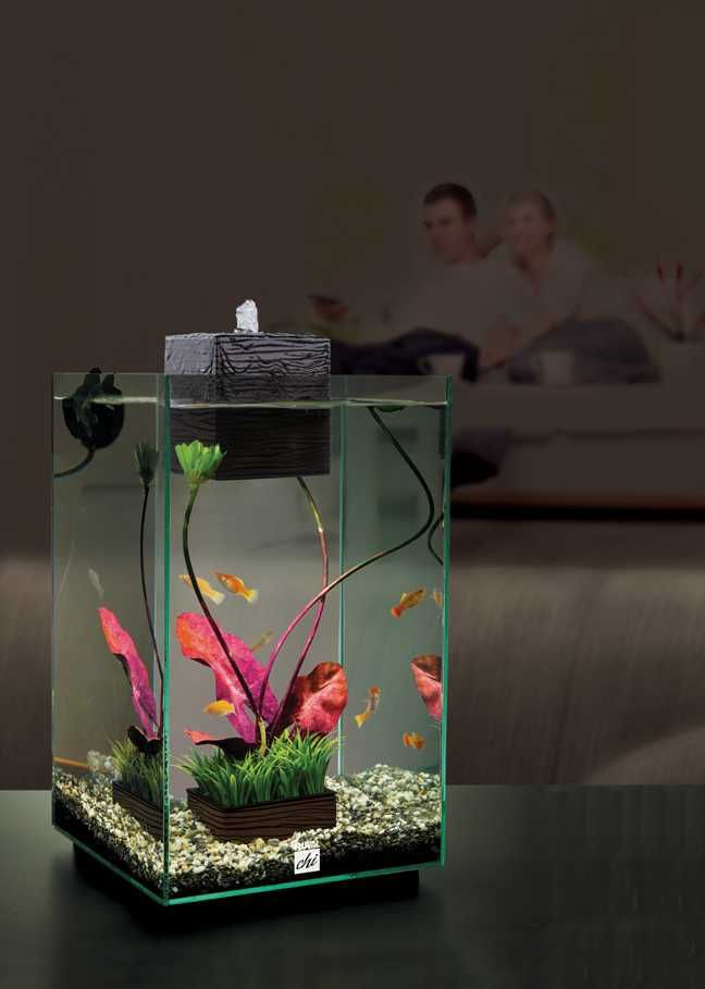 aquarium fluval chi аквариум флувал чи 24 л +прикалухи в комплекте