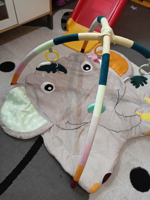 Mata niemowlęca słoń