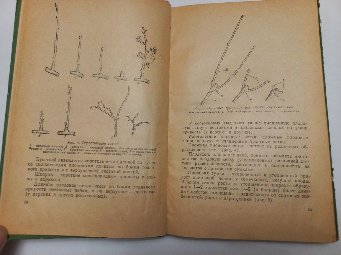 Формирование кроны и обрезка плодовых деревьев 1959г. П.С.Гельфандбейн