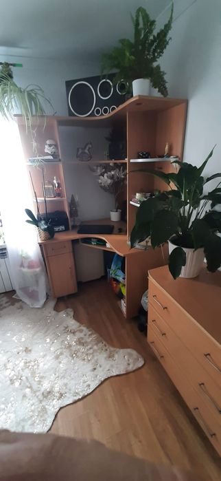 Meblościanka Młodzierzowa Jasny dąb