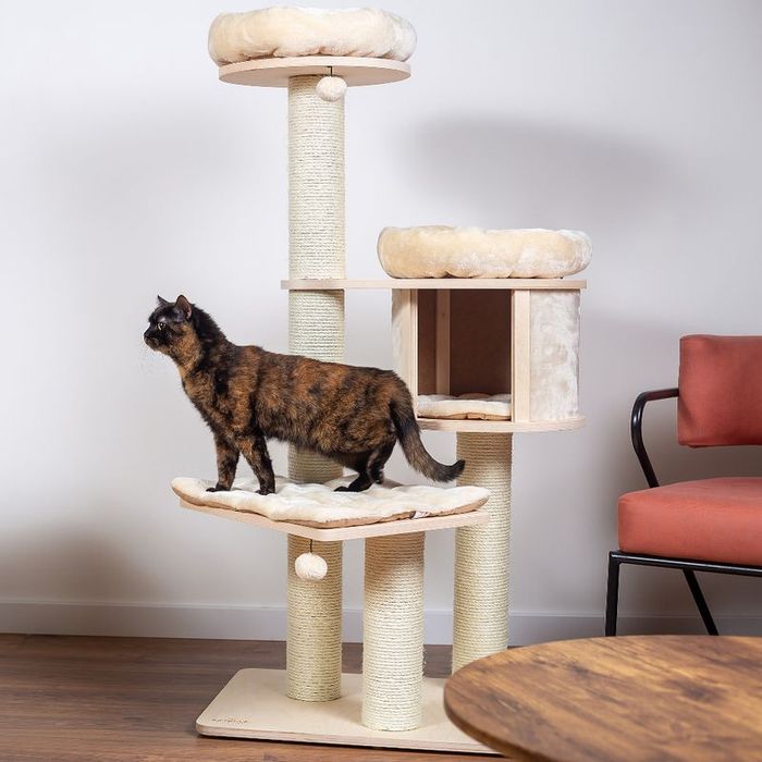 Natural Paradise Drapak Dla Kota Magnolia L Kremowy 78X81X137Cm DUŻY