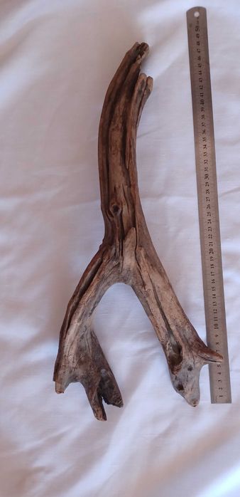 Tronco decorativo natural para terrário