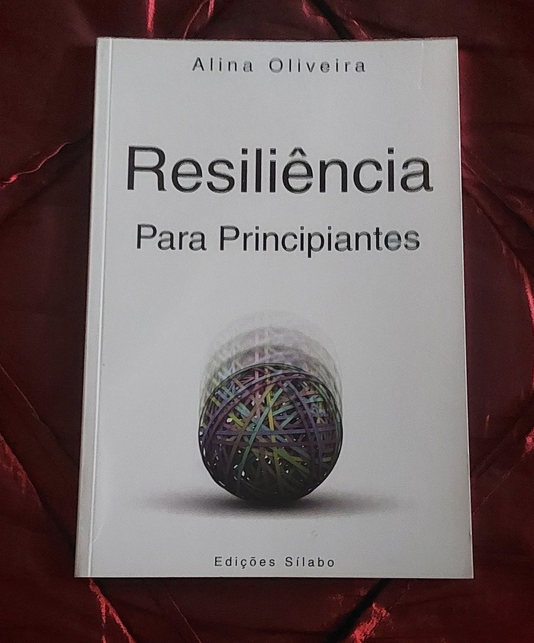 Resiliência - Para principiantes PT