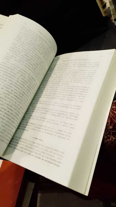 Psicologia Pedagógica - Hildegard Hetzer