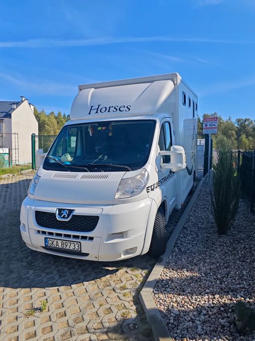 Peugeot Boxer  Koniowoz, zabudowa ogierowa. 3 osobowy