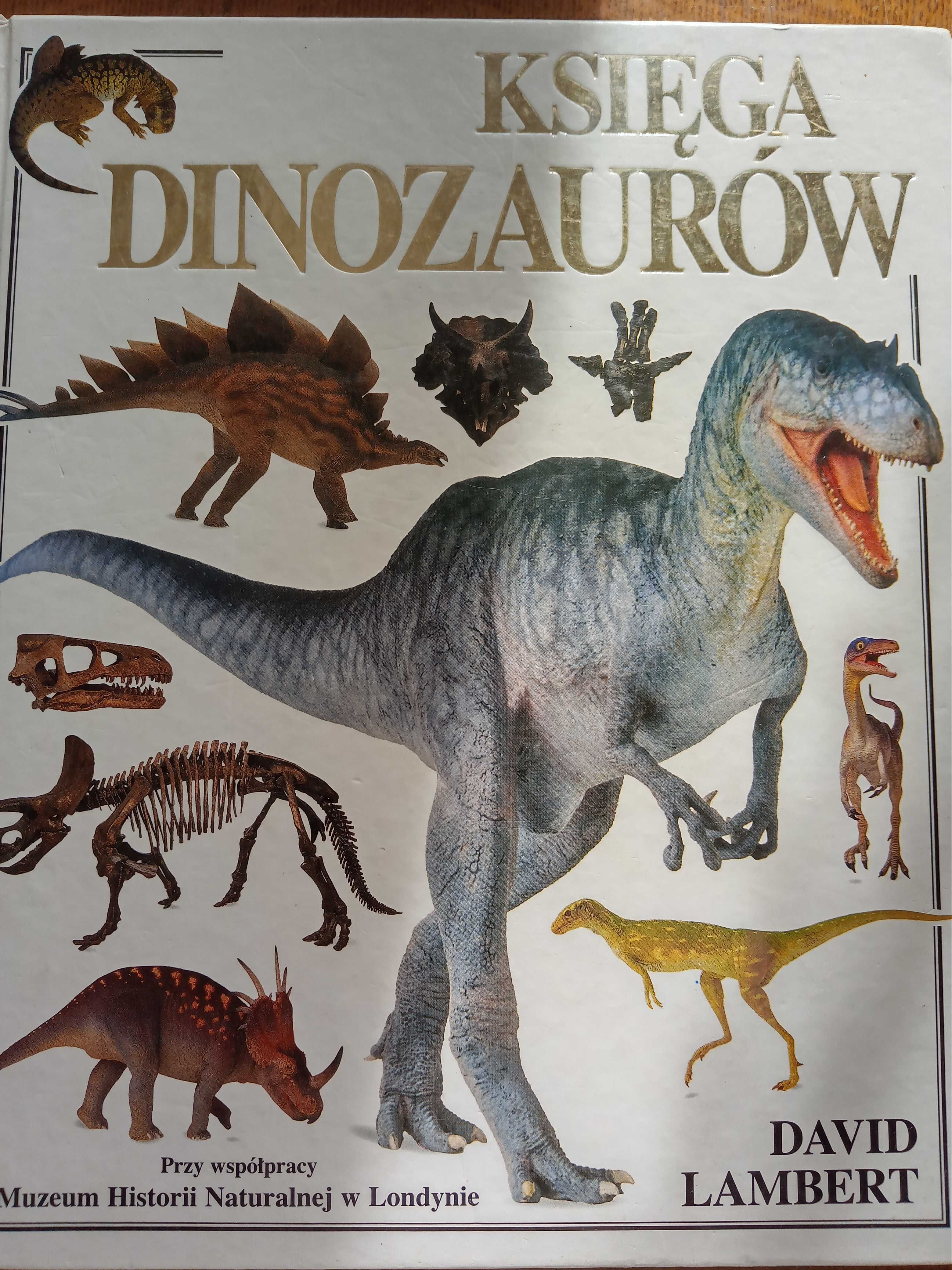 Księga dinozaurów D. Lambert