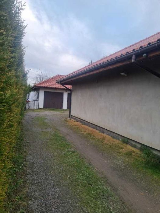 Dom do wynajęcia-Żory