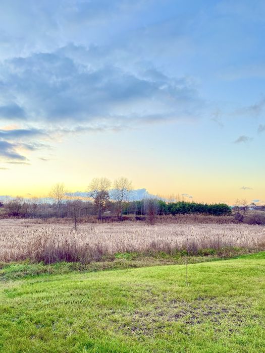 ‼️Дім, Якого Немає Аналогів. Ліс. Озеро. Ясногородка‼️
