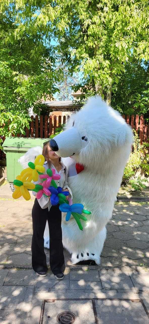 Biały Miś Barni żywa maskotka na imprezę