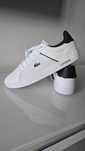 Buty Lacoste NOWE