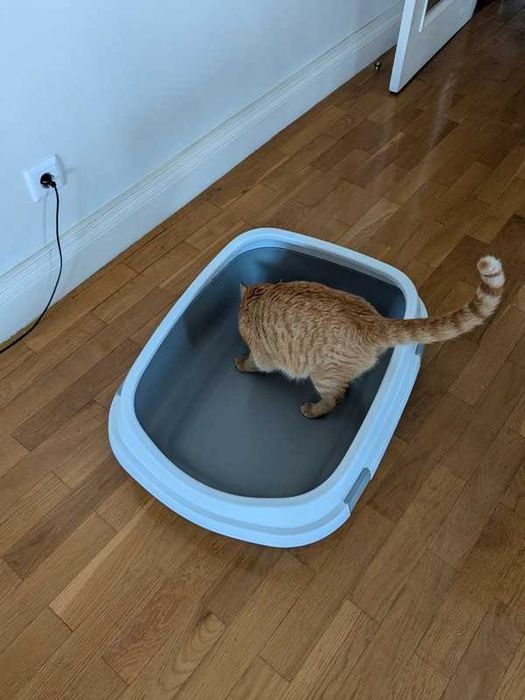 Caixa de areia Trixie Primo XXL com rebordo